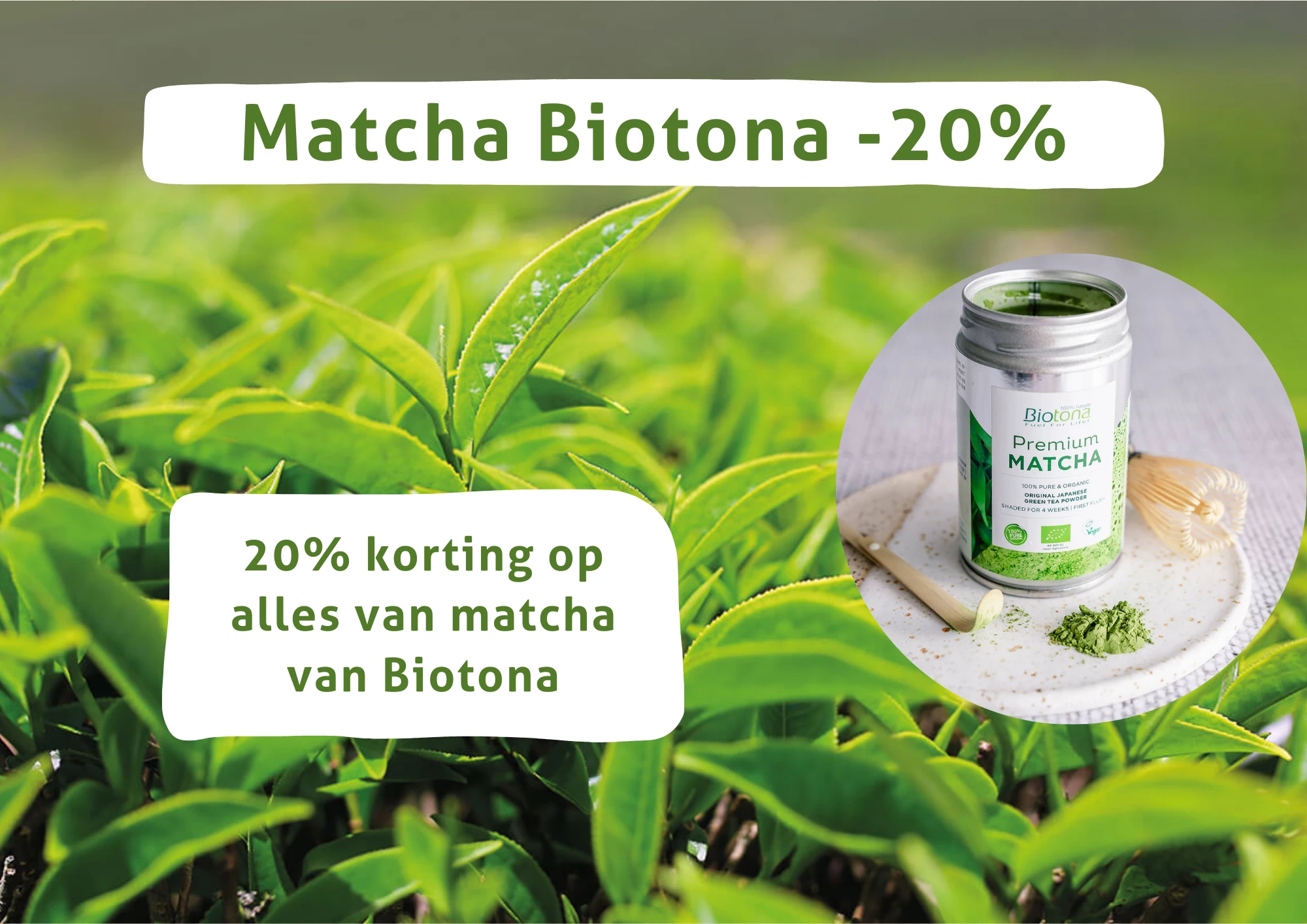 matcha biotona